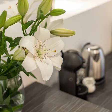 Maison d'hôtes Main Square 4*